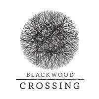 Portada oficial de Blackwood Crossing para PS4