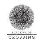 Portada oficial de de Blackwood Crossing para PS4