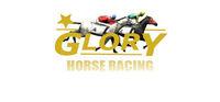 Portada oficial de Glory Horse Racing para PC