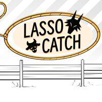Portada oficial de LASSO CATCH para PS5