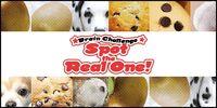 Portada oficial de Brain Challenge Spot the Real One! para Switch