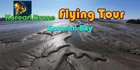 Portada oficial de Korean Drone Flying Tour Garorim Bay para Switch