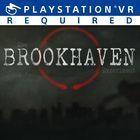 Portada oficial de de The Brookhaven Experiment para PS4