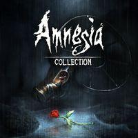 Portada oficial de Amnesia: Collection para PS4