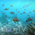 Portada oficial de de Aqua TV eShop para Wii U