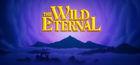 Portada oficial de de The Wild Eternal para PC