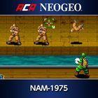 Portada oficial de de Arcade Archives Neo Geo NAM-1975 para PS4