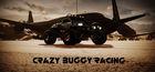 Portada oficial de de Crazy Buggy Racing para PC