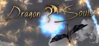 Portada oficial de Dragon Souls para PC