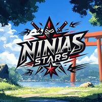 Portada oficial de Ninja Stars para PS5