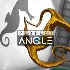 Portada oficial de de Perfect Angle para PS4