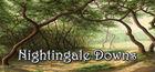 Portada oficial de de Nightingale Downs para PC