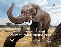 Portada oficial de Virry Safari: Wild Encounters para PC