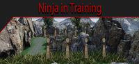 Portada oficial de Ninja in Training para PC