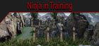 Portada oficial de de Ninja in Training para PC