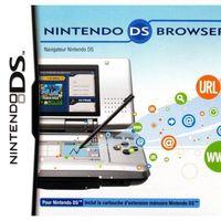 Portada oficial de Nintendo DS Browser para NDS