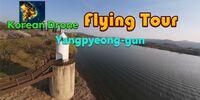 Portada oficial de Korean Drone Flying Tour Yangpyeong-gun para Switch
