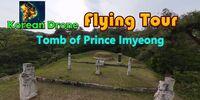 Portada oficial de Korean Drone Flying Tour Tomb of Prince Imyeong para Switch