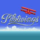 Portada oficial de de Pilotwings CV para Wii