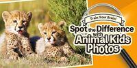 Portada oficial de Train Your Brain! Spot the Difference with Animal Kids Photos para Switch