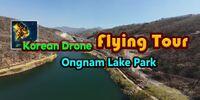 Portada oficial de Korean Drone Flying Tour Ongnam Lake Park para Switch