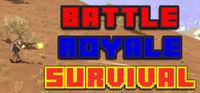 Portada oficial de Battle Royale Survival para PC
