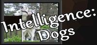 Portada oficial de Intelligence: Dogs para PC
