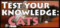 Portada oficial de Test your knowledge: Cats para PC