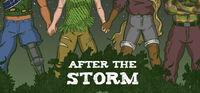 Portada oficial de After the Storm para PC