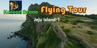 Portada oficial de Korean Drone Flying Tour Jeju Island-1 para Switch