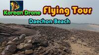 Portada oficial de Korean Drone Flying Tour Daechon Beach para Switch