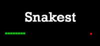 Portada oficial de Snakest para PC