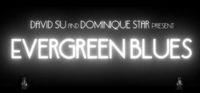 Portada oficial de Evergreen Blues para PC