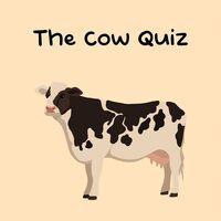 Portada oficial de The Cow Quiz para PS5