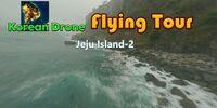 Portada oficial de Korean Drone Flying Tour Jeju Island-2 para Switch