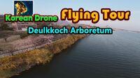 Portada oficial de Korean Drone Flying Tour Deulkkoch Arboretum para Switch