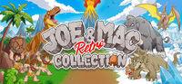 Portada oficial de Joe & Mac Retro Collection para PC