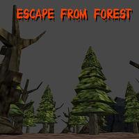 Portada oficial de Escape From Forest eShop para Nintendo 3DS