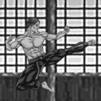 Portada oficial de KungFu Arcade para PC